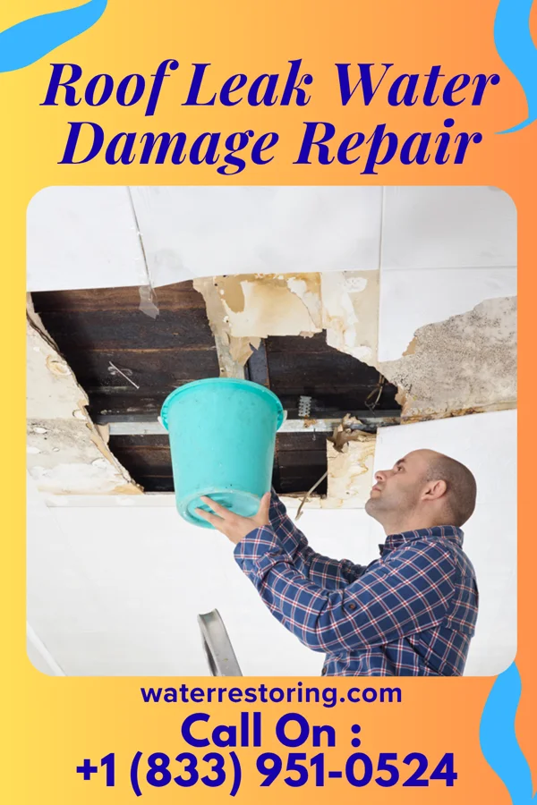 Roof Leak Water Damage Repair in Blandinsville, IL